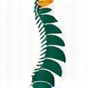 Logo for 'Spine & Sport Chiropractic', a stylized spine with an athletic swoosh.